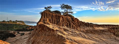 Torrey Pines State Natural Reserve - San Diego Museum Council