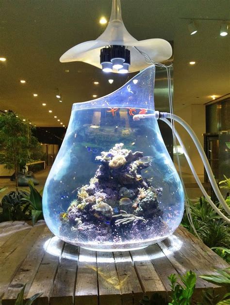 Nice 30+ Awesome Fish Tank Ideas https://gardenmagz.com/30-awesome-fish-tank-ideas/ Aquarium ...