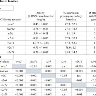 Quantitative evaluation of expression for olfactory receptor genes from ...