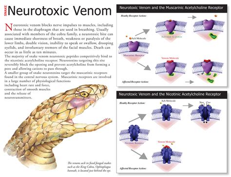 Neurotoxic Venom by wyrdgrendel on DeviantArt