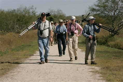 Free picture: birdwatchers, searching, best, spot, view