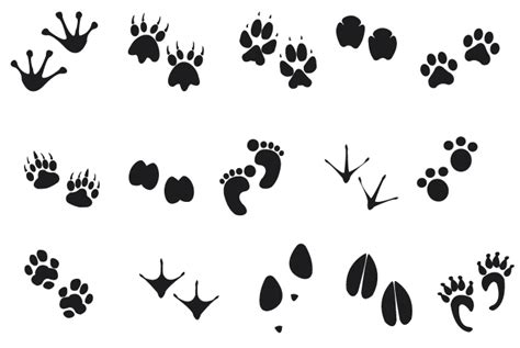 animal footprints clipart 20 free Cliparts | Download images on Clipground 2024