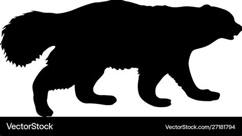 Silhouette wolverine on a white background Vector Image