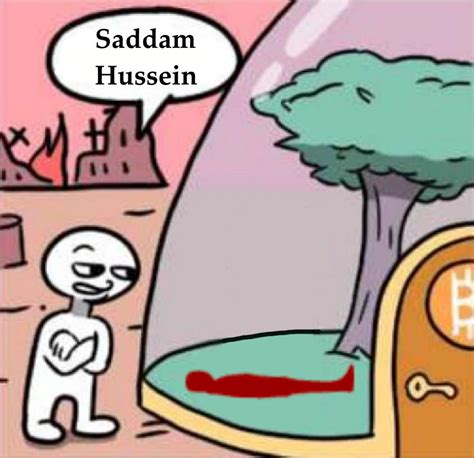 Saddam Hussein | Saddam Hussein's Hiding Place | Know Your Meme