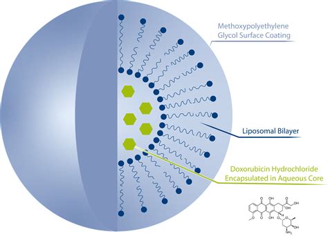 Size Distribution and Surface Charge of Liposomal Doxorubicin assessed by Electrical ...