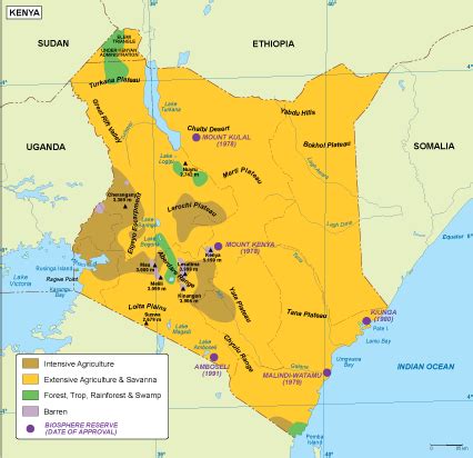 Kenya vegetation map. EPS Illustrator Map | Vector World Maps