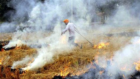 Delhi suffocates under toxic smog as air pollution continues in India ...