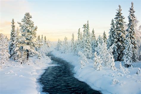 In search of Santa in Lapland | London Evening Standard