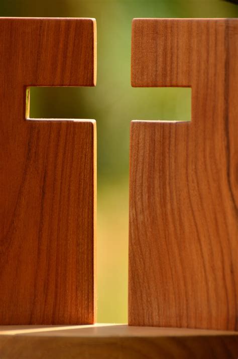 Free Images : wood, flower, live, green, symbol, religion, yellow, wooden cross, hope ...