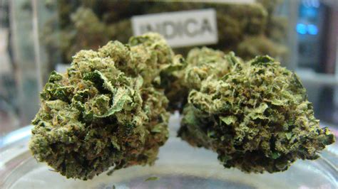 Strain review: Critical Kush | Real. Functional.