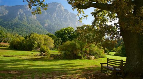 Kirstenbosch National Botanical Gardens in Cape Town | Expedia