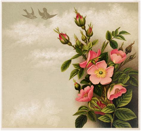 Pretty Pink Roses and Birds Image! - The Graphics Fairy