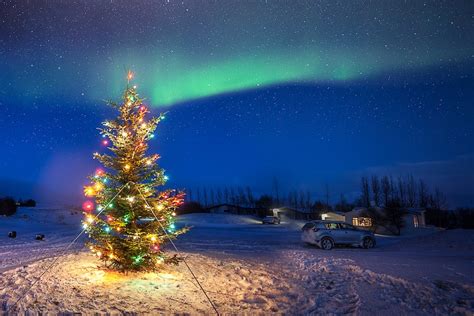 11 Top Things to Do in Reykjavik This Christmas