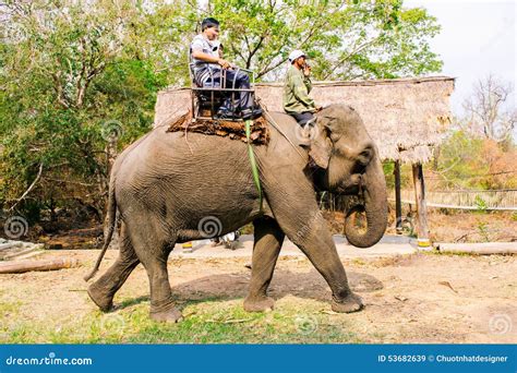 A Mahout Ride Elephant Stock Photography | CartoonDealer.com #35086850