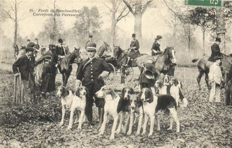 França - Tradionele Hertenjacht - Drijfjacht met Paarden en - Catawiki