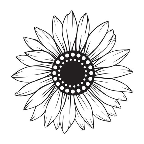 sunflower line art, sunflower line drawing, floral line drawing ...