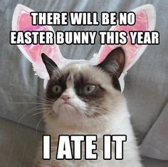 42 Grumpy Cat Easter ideas | grumpy cat, grumpy, grumpy cat humor