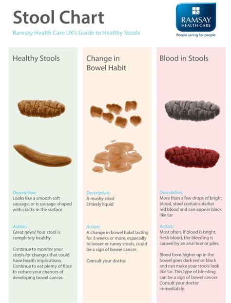 Bowel artifact meaning - viukraine