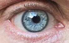 Kolor oczu - Eye color - xcv.wiki
