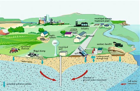 Groundwater contamination [7] | Download Scientific Diagram