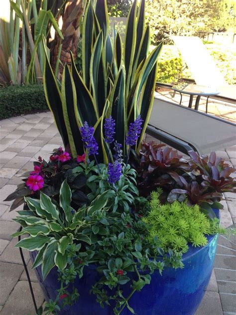 Blue Flowerpot arrangement. Lots of color. | Garden containers, Plants ...