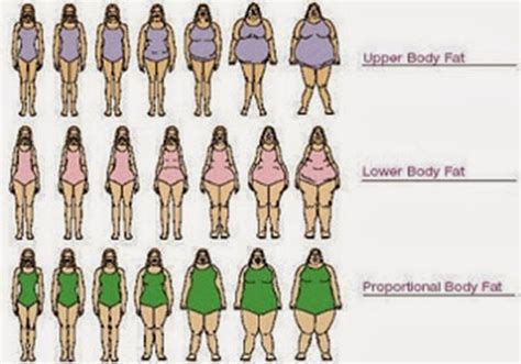 a woman's body type chart with different types of women