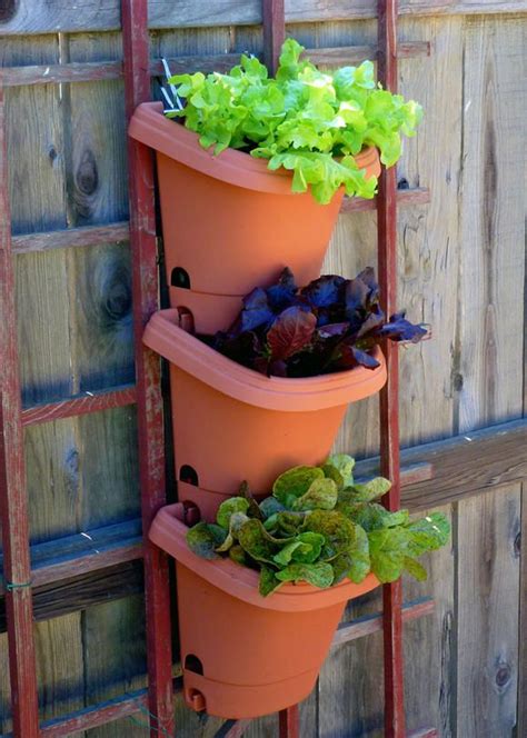 Mixed Lettuce Gardens for Small Spaces / Edibles | Fiskars | Container ...