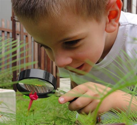 Teaching Naturalist Intelligence at Home - ChildFirst