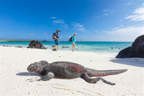 Galápagos cumplió 59 años como área protegida | Weekend