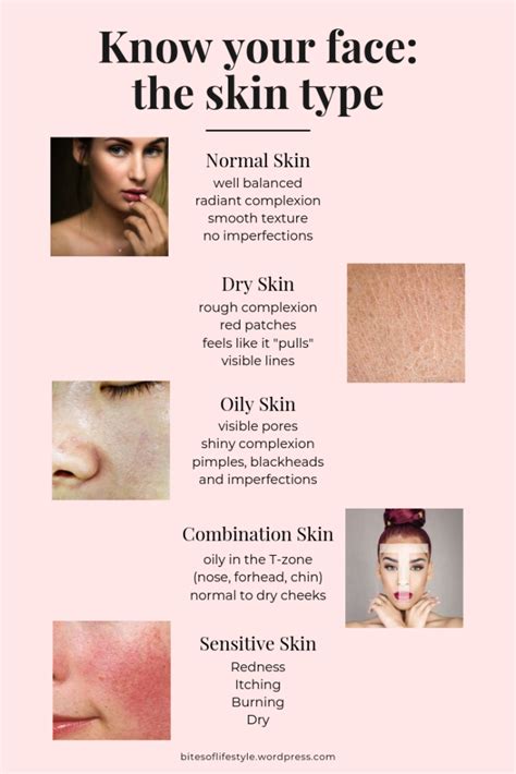 Know your face: a complete guide to skin types and phototypes – Bits of Life Oily Skin Face ...