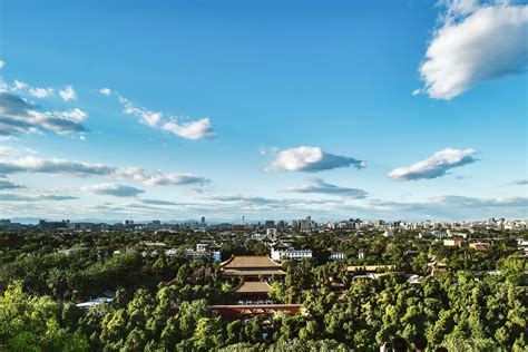 Birds Eye View Photography of Green Tree Forest · Free Stock Photo