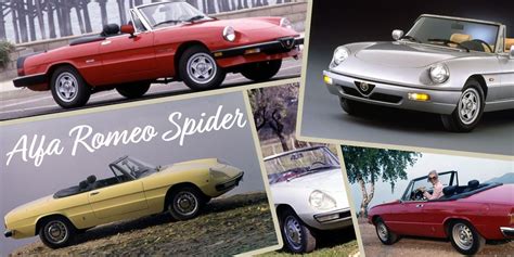 A brief history of the Alfa Romeo Spider - Hemmings