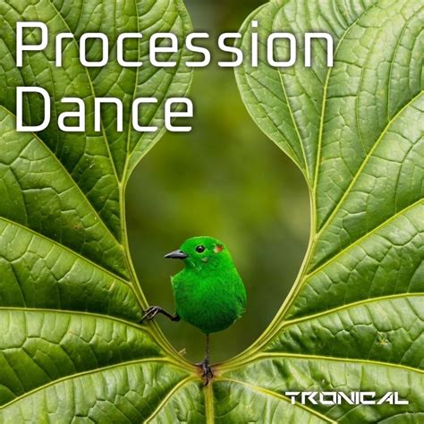 ‎Procession Dance - Single - Album by Tronical - Apple Music