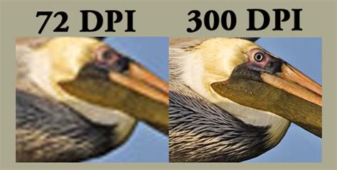 What Does 300DPI Mean? « iD Works