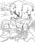 Baby Zoo Animals Coloring Pages / Here's a coloring page for any animal loving kid, especially ...