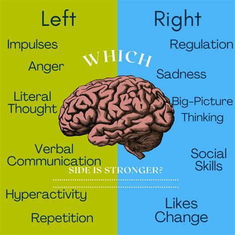 Right vs Left Brain : Tell Me The Truth! | Delta Genesis