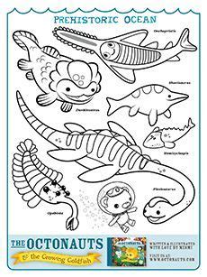 Captain Barnacles goody bag treat (Octonauts coloring pages from Meomi ...