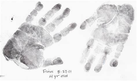 Loop Fingerprint Archives - American Academy of Hand Analysis