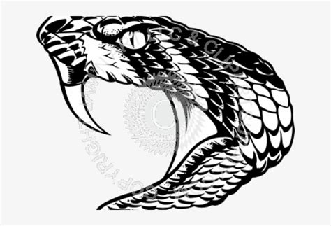 Snake Head Draw Transparent PNG - 640x480 - Free Download on NicePNG