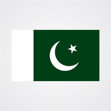 Premium Vector | Pakistan Flag