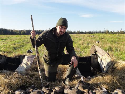 Hunting Geese in Estonia, a unique destination in Europe for Goose Hunting