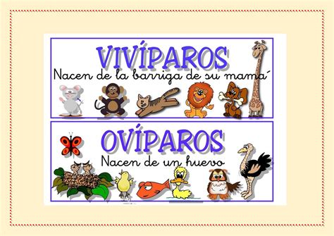 Animales Oviparos Y Viviparos