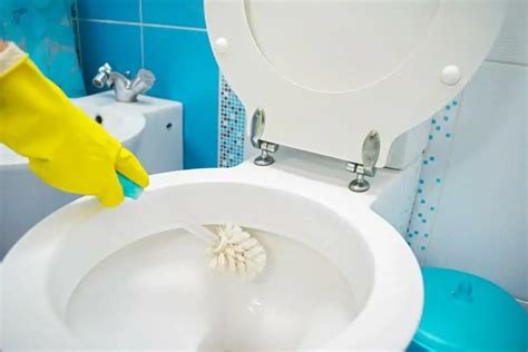 Toilet Cleaning Tips You Can Learn - Part Time Maid Singapore