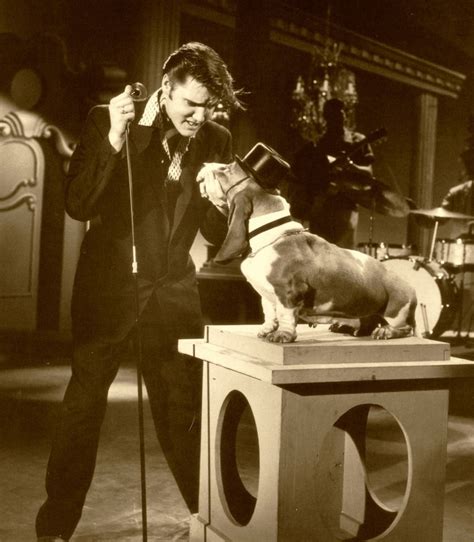 Elvis-TheKingsCourt > 1956 + HOUND DOG ~Song in the Spotlight..Record ...