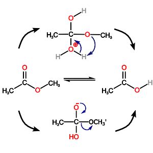 Coordinate (dative) Covalent Bond with Examples