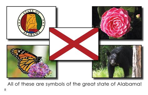 Alabama State Symbols (First Grade Book) - Wilbooks