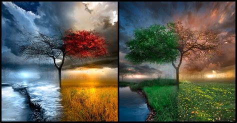 landscape, Trees, Water, Clouds, Seasons, Four Seasons Wallpapers HD ...