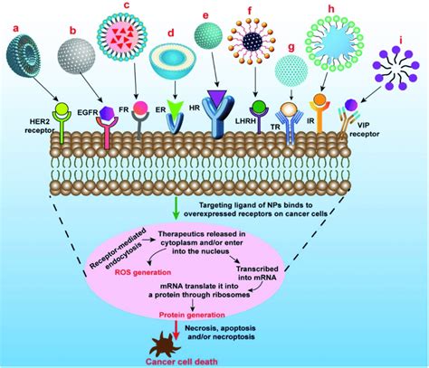 Schematic presentation of different types of targeted nanomedicine ...