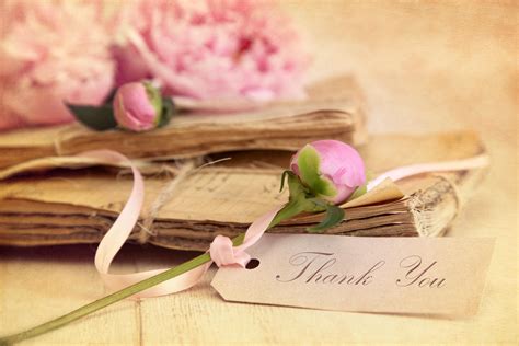 Thank you - - High Quality and Resolution Wallpapers