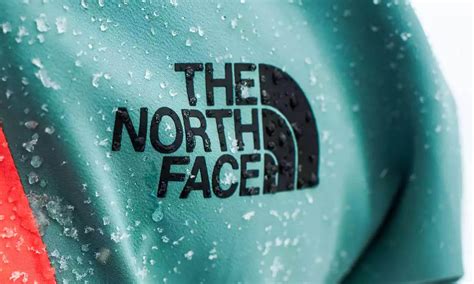 The North Face Logo Design: History & Evolution